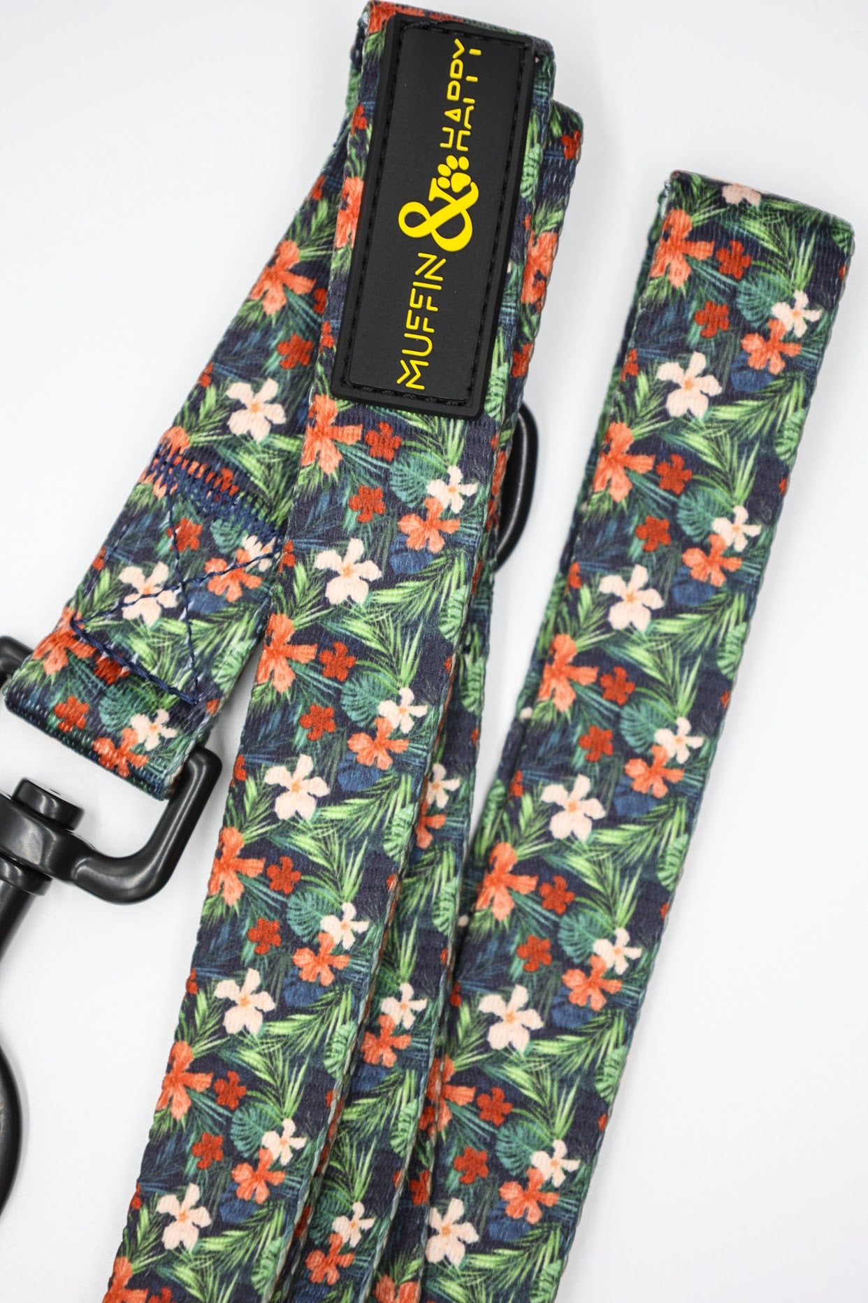 5A249E66-9118-41D4-AFE0-121AEA3D6E5E