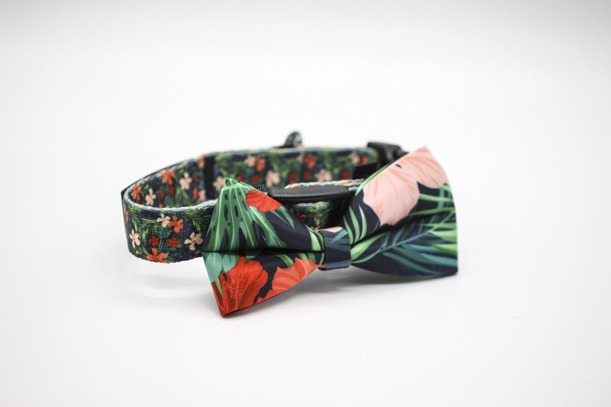 62F26DA3-558B-43B0-8CEA-98A97A56DF04