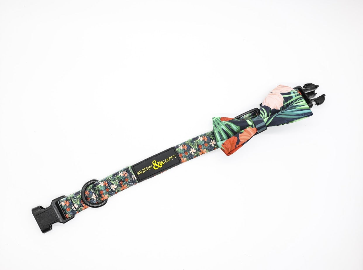 67F87636-457D-4AB2-B912-E14BEC152920