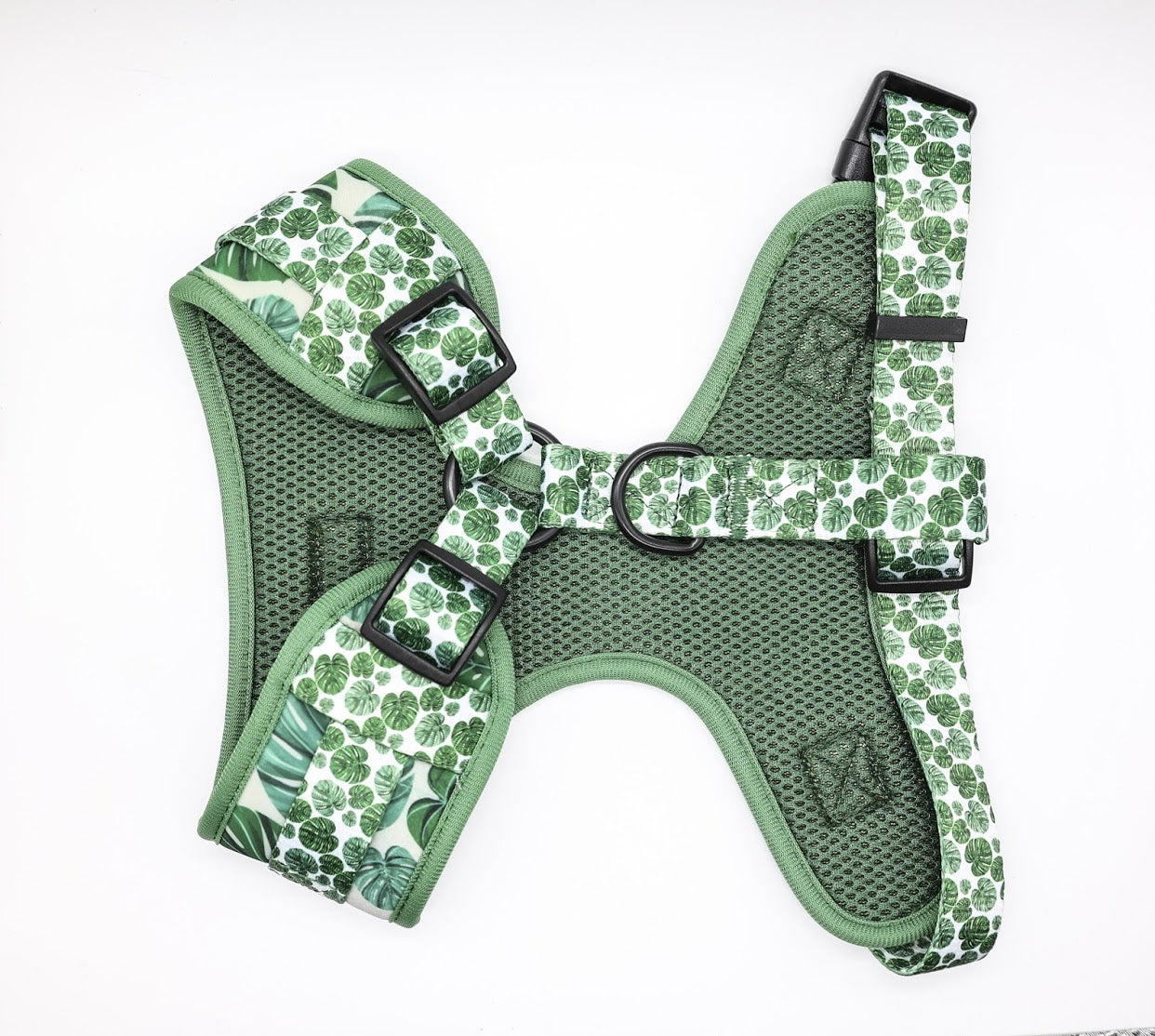 77D19E45-8AA3-4FFF-B96B-4CBBC8D1368A