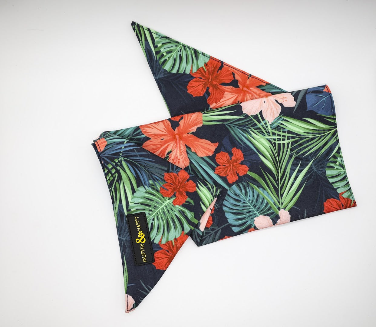 9392BC38-F6F4-4455-BB0D-36933F5C461A