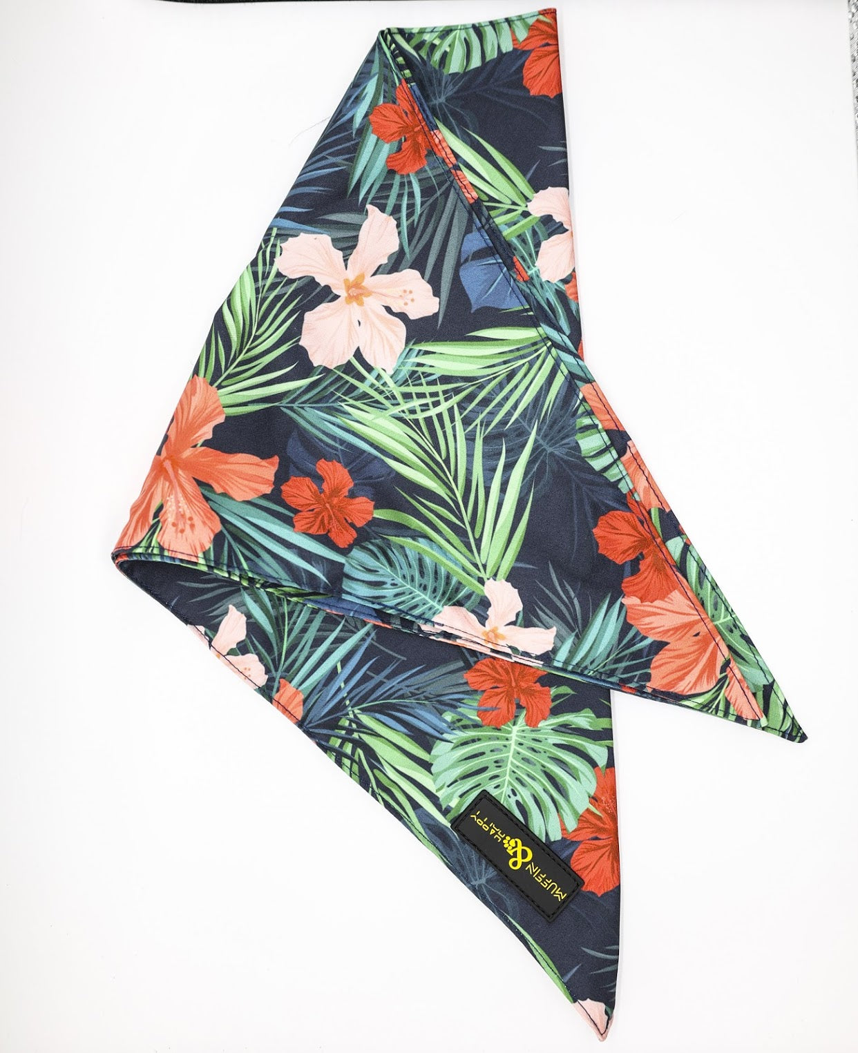 B198E7E2-AD25-4313-9659-12D9F1DFDF47