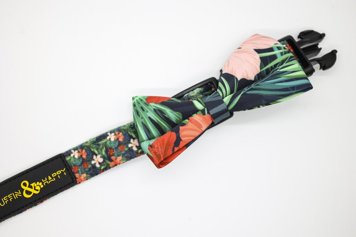 B65D201A-A5A1-464D-ACC4-1DBBE02BCF73