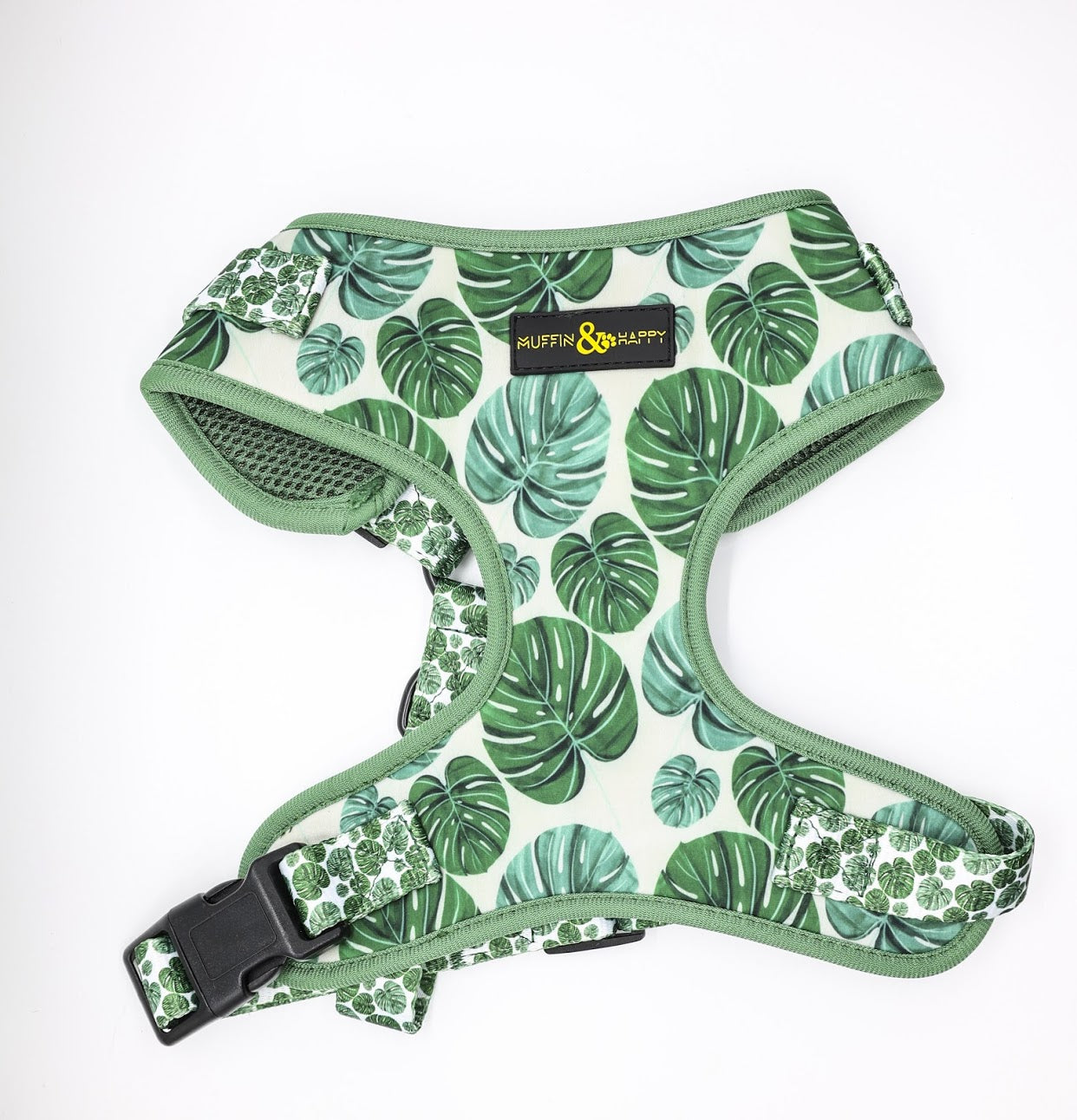 B8DF3218-4089-479E-BB5E-77171E53E6F8-1