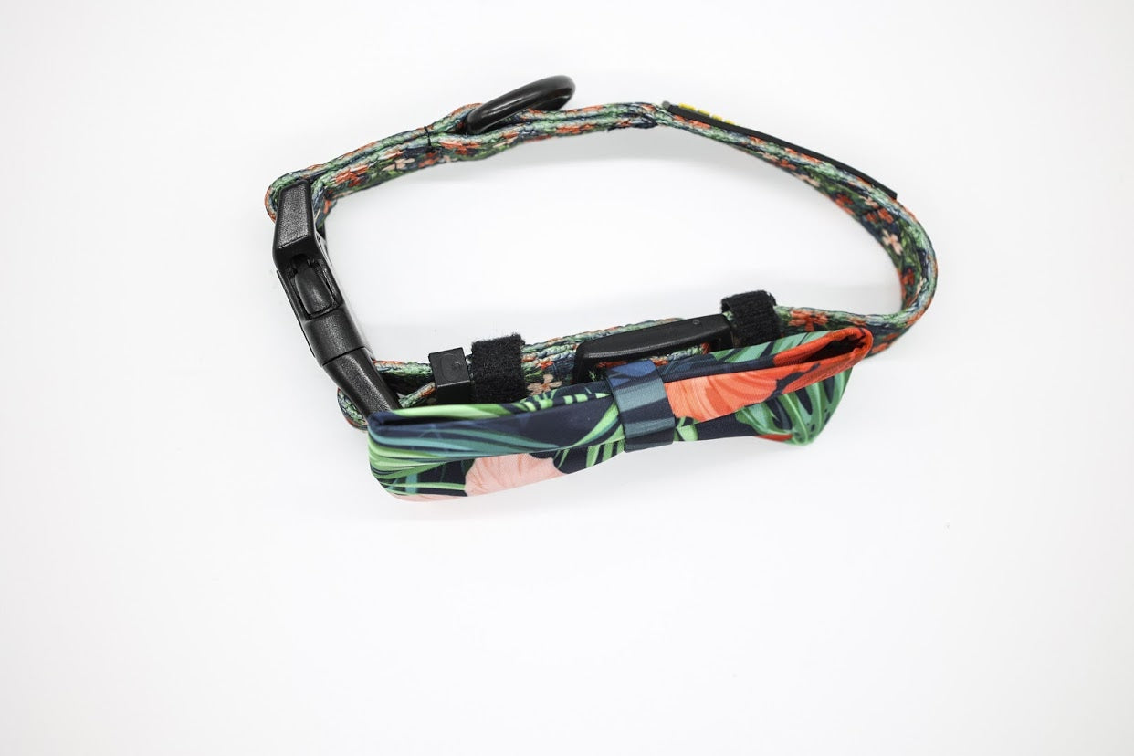 C27E7069-8FD0-4579-B119-C649FE9C6E61