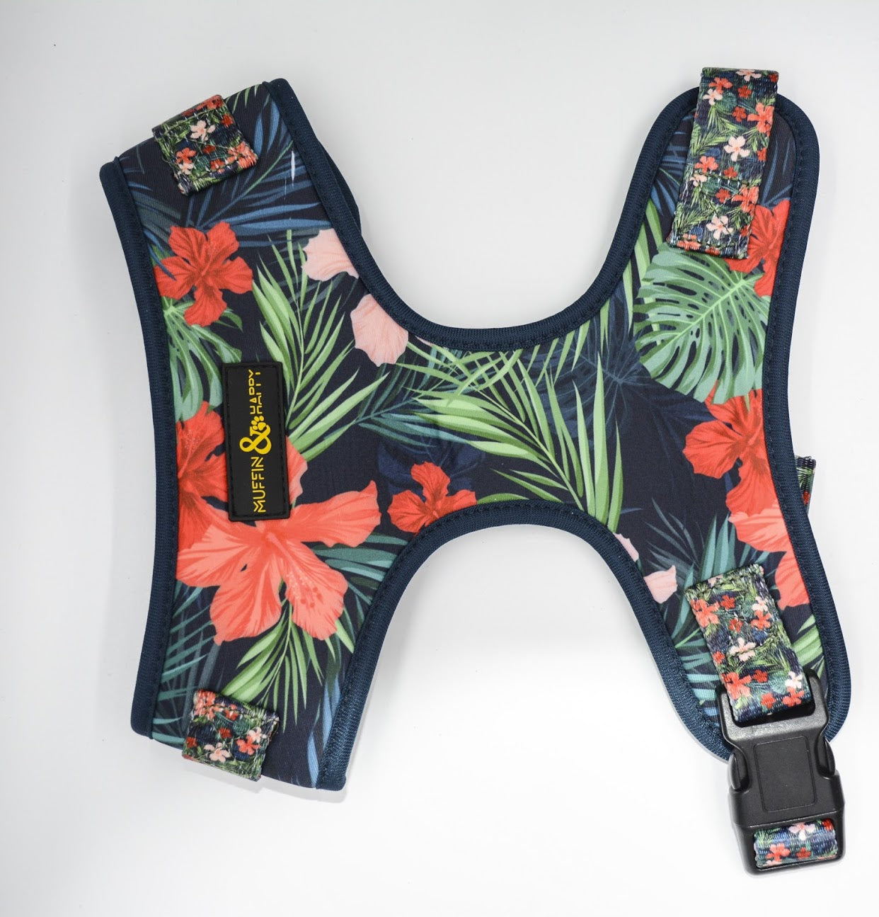 E61B5D03-6CFF-4B62-8F36-14EA0A987477-1