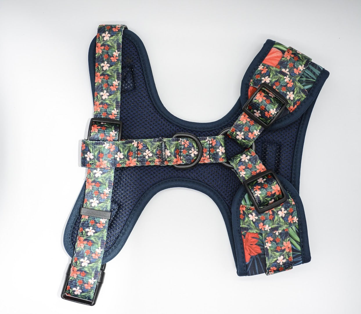 F8EF6669-8D83-4150-AC3E-D4DDC98E3845