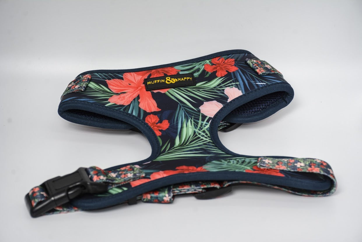 FC9AC437-E371-4ED1-B13B-1040D2842A16